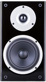 Actual product image Wilson Raptor 1 (1 pair, 125 W)