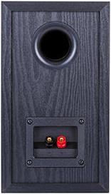 Actual product image Wilson Raptor 1 (1 pair, 125 W)