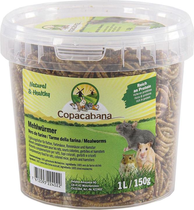 Copacabana Vermi della farina 1litro/150g (0.15 kg, 1 x)