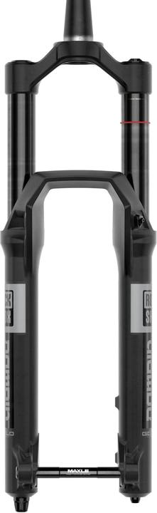 Actual product image RockShox Domain Gold Isolator RC3 (180 mm, Air)