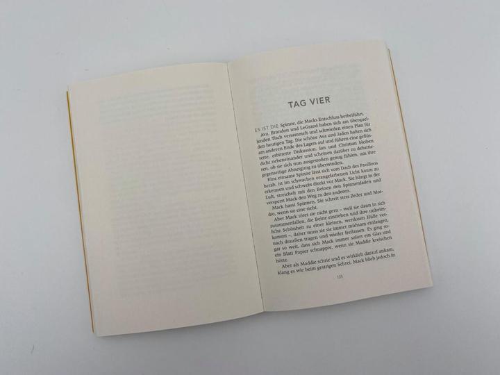 Produktbild Amazement Park (Deutsch, Kerstin Fricke, Kiersten White, 2023)