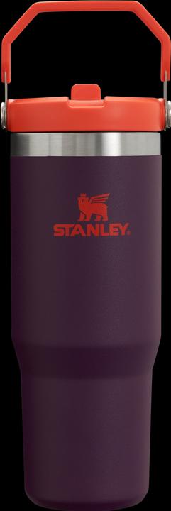 Immagine prodotto Stanley 1913 IceFlow (0.89 l)