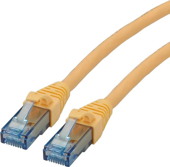 Produktbild Roline Netzwerkkabel (UTP, CAT6a, 3 m)