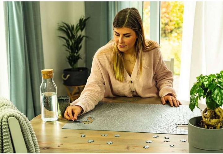 Produktbild Ravensburger Puzzle 654 Elemente der Krypta Silber (654 Teile)