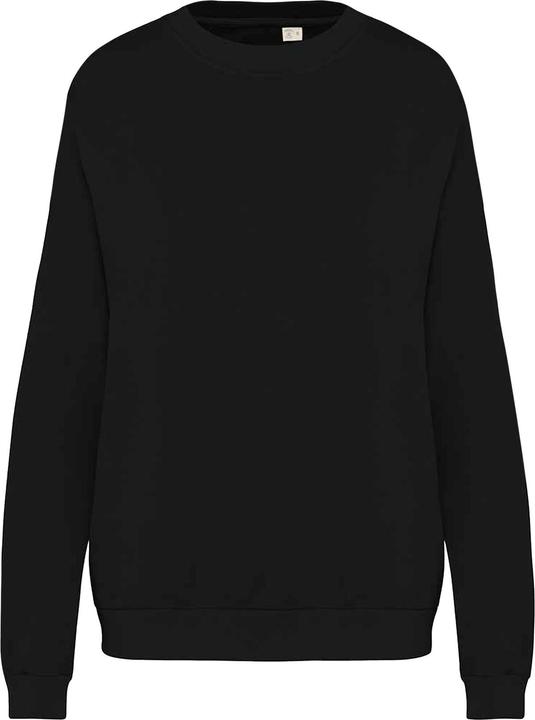 Native Spirit Sweatshirt (L)