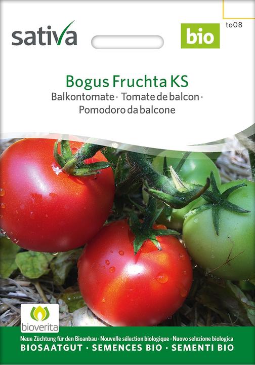 Actual product image Sativa Balcony tomato Bogus Fruchta KS (Seed bombs)