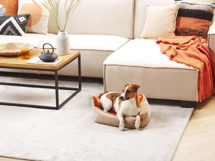 Image du produit Beliani Izmir (Chien, Chat)