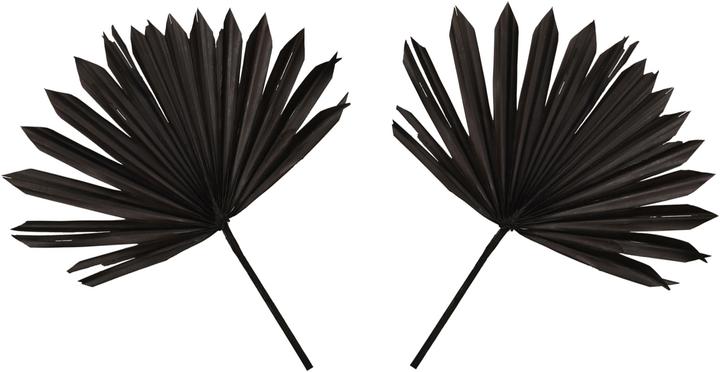 Produktbild Casativo Deko-Blatt, schwarz, 40 x 45 cm (40 x 45 cm)