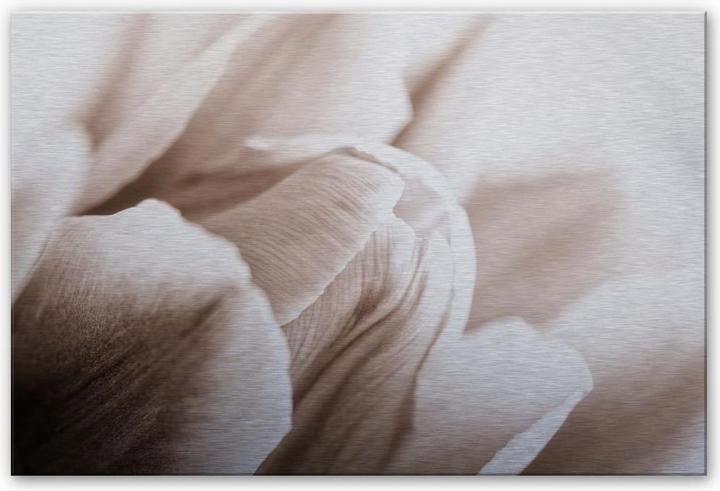 Immagine prodotto Trenddeko Tulipano in dettaglio (60 x 40 cm)