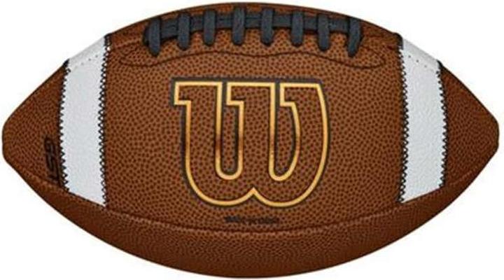 Image du produit Wilson GST Official Composite
