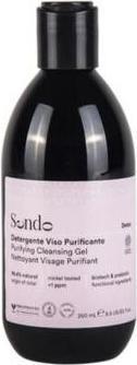 Actual product image Sendo Purifying Cleansing Gel Face Wash 250ml (Gel, 250 ml)