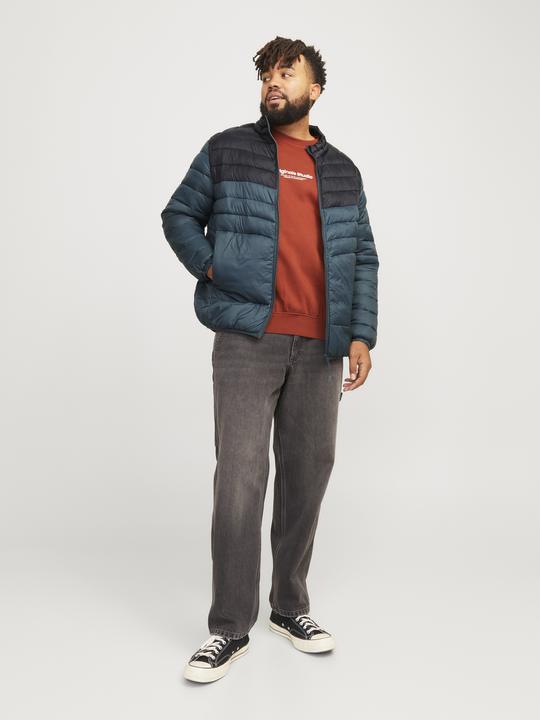 Actual product image Jack & Jones Jjesprint Puffer Collar Noos Pls (6XL)