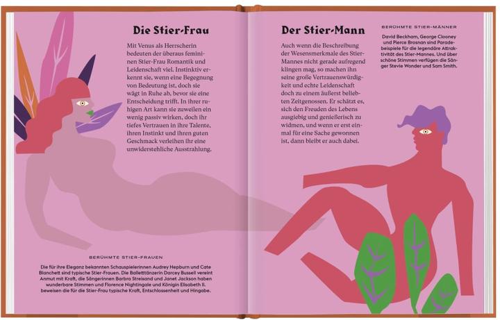 Produktbild Stier (Deutsch, Stella Andromeda, 2021)