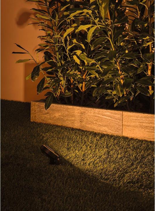 Image du produit Paulmann Sting Spot Insect Friendly (580 lm, IP67)