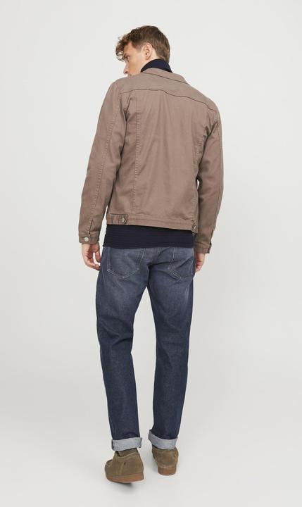Actual product image Jack & Jones JJIMIKE JJCOLE CJ 574 (W30/L34)