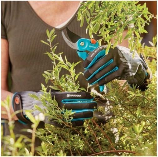 Productafbeelding Gardena Strauchpflegehandschuh (M)