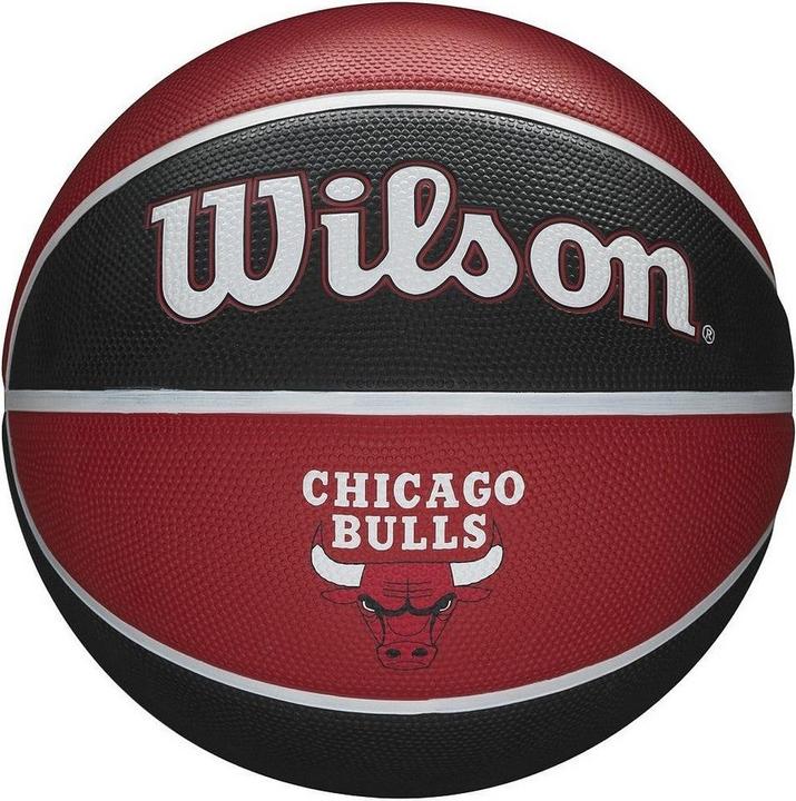 Wilson Basketball (7)