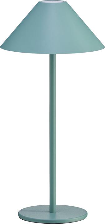 Vert