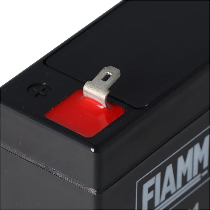 Actual product image Fiamm Akku FG10721 (6 V, 7.20 Ah)