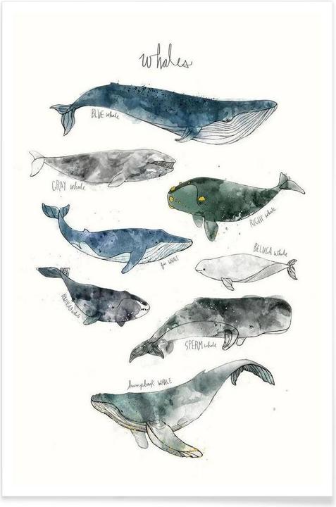 Actual product image Juniqe Whales (20 x 30 cm)