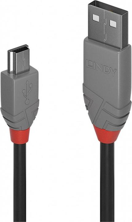 Immagine prodotto Lindy USB A – USB Mini B (3 m, USB 2.0)
