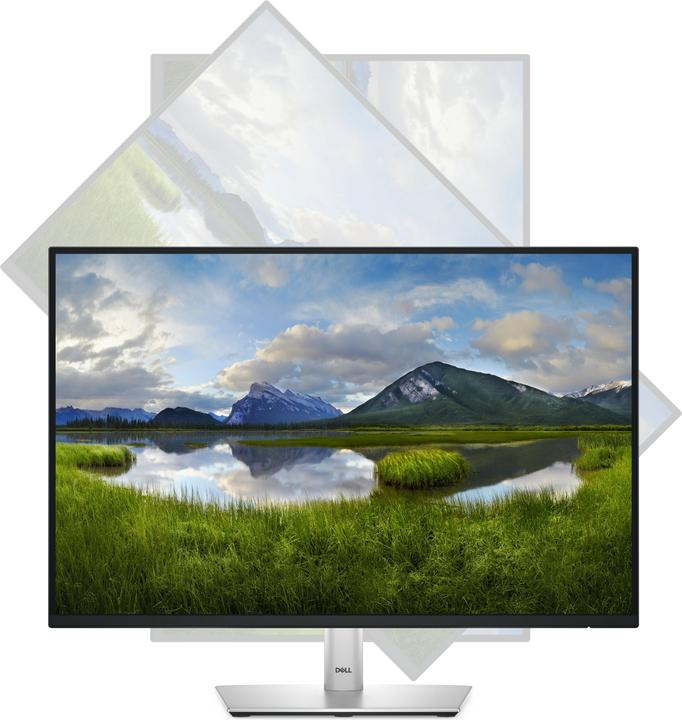 Actual product image Dell P2425E (1920 x 1200 pixels, 24")