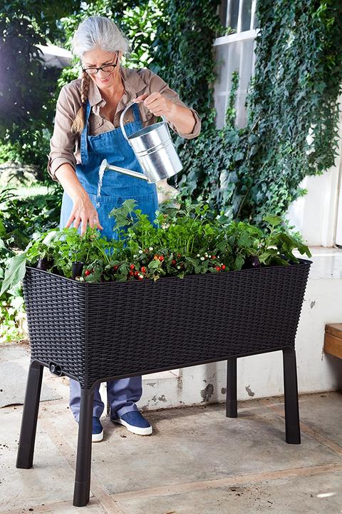 Actual product image Keter Easy Growing