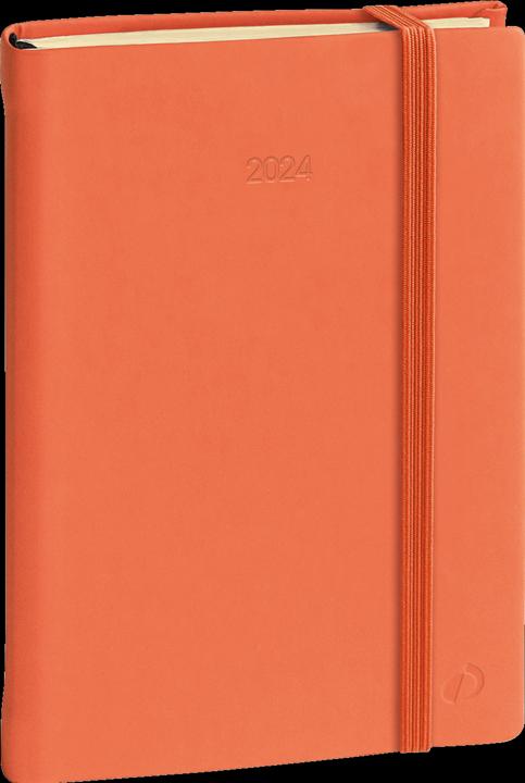Actual product image Quo Vadis Agenda Daily 17 Silk El 2024 376022Q 1T/1S, orange 12x17cm (12 x 17 cm, German)