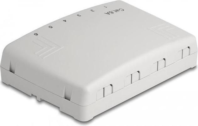Actual product image Delock Mini Desktop Patchpanel 6 Port Cat.6A grey