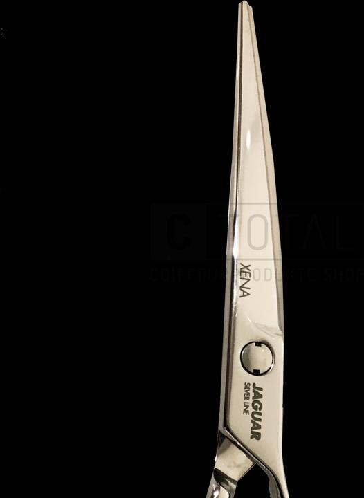 Immagine prodotto Jaguar Forbici per capelli Silver Line Xena 6.0 (15.24 cm)