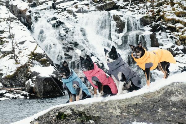 Produktbild Hurtta Expedition (40, Hundeoverall)