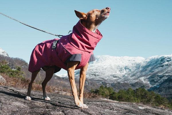 Produktbild Hurtta Expedition (40, Hundeoverall)