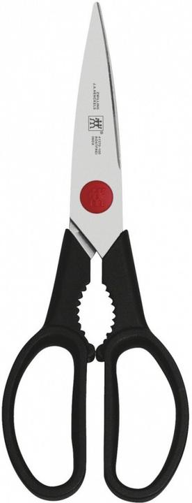 Actual product image Zwilling Four stars