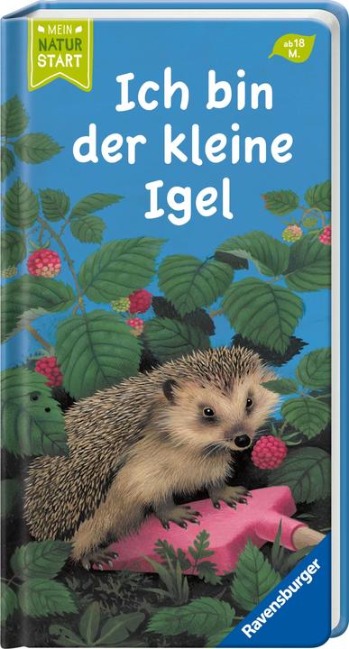 Produktbild Ravensburger Ich bin der kleine Igel (Deutsch, Gisela Stottele, 2023)