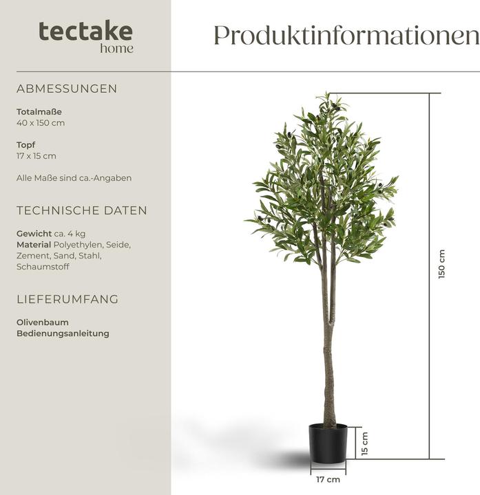 Immagine prodotto tectake Olivenbaum Oleand (150 cm)