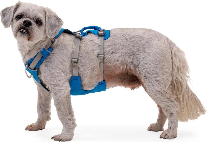 Image du produit Ruffwear Flagline harnais pour chien (M, Chien)