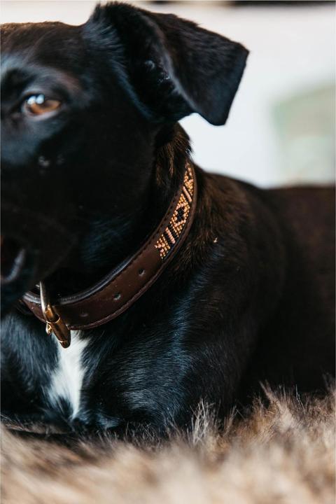 Produktbild Kentucky Dogwear Hundehalsband Handgemacht Pearls (L, Hund)