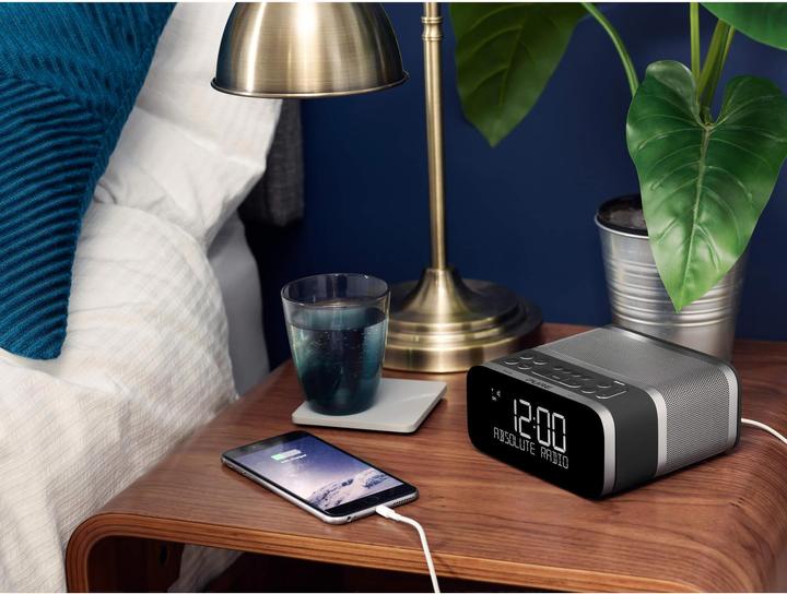 Produktbild Pure Siesta S6