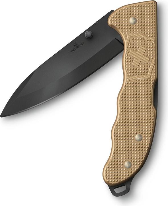 Immagine prodotto Victorinox Evoke BS Alox, beige