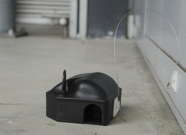 Actual product image Knock Off Adhesive anchor, double-sided for bait box, 25cm + hook