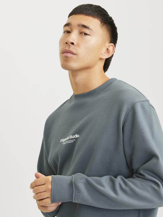 Immagine prodotto Jack & Jones Jorvesterbro Sweat Crew Neck Noos (L)