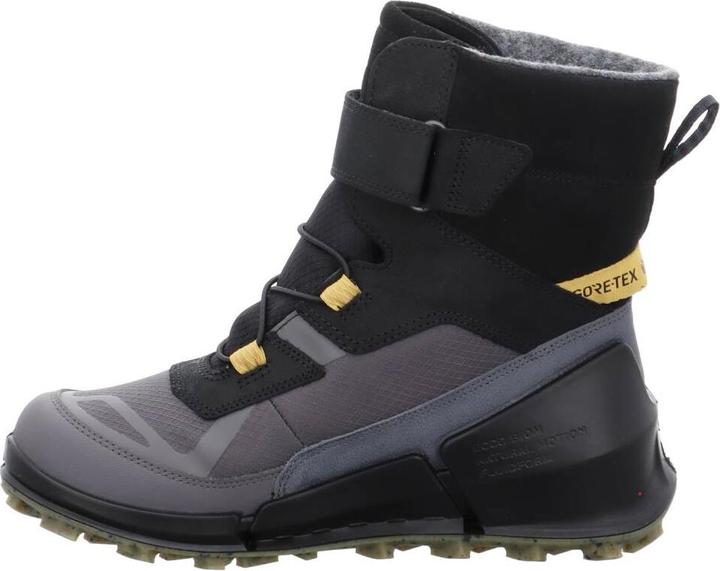 Actual product image Ecco Biom K2 GTX (30)