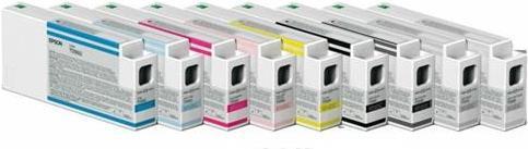 Actual product image Epson Singlepack Light Gray T800000 UltraChrome PRO 700ml (LGY)