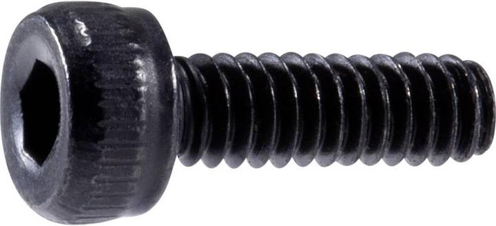 Immagine prodotto Toolcraft Viti a testa cilindrica 100 ST (100 Viti per pezzo)