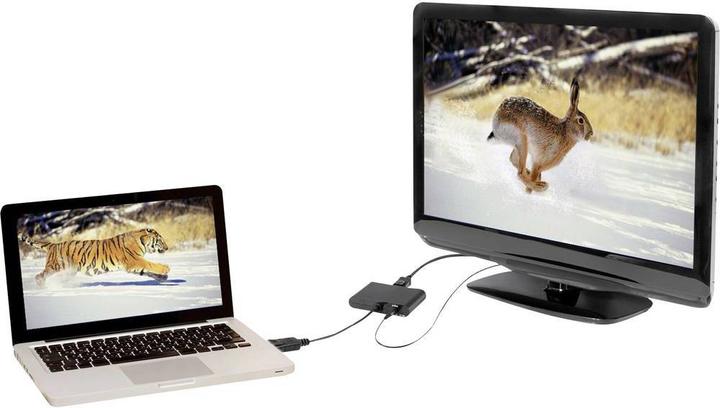 Produktbild Renkforce DisplayPort Splitter 1x3 4K (DP, 21 cm)