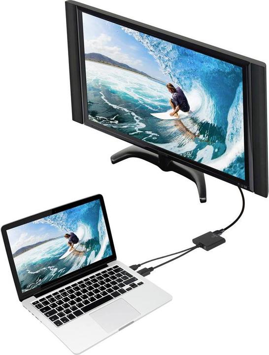 Immagine prodotto Renkforce DisplayPort zu (DP, 20 cm)