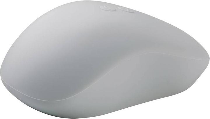 Renkforce IP53 spritzwassergeschützte kabellose Maus für Industrie, Labor und Medizin (Kabellos)