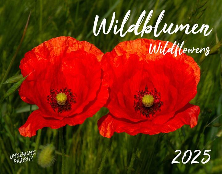 Produktbild Wildblumen 2025 Grossformat-Kalender 58 (Harter Einband, Deutsch)