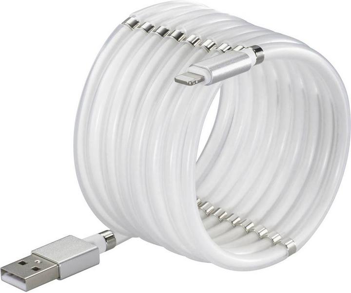 Immagine prodotto Renkforce Cavo di connessione USB 2 (1 m, USB 2.0, 12 W)