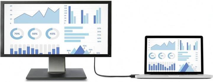 Actual product image Renkforce DisplayPort cable (1 m, DisplayPort)